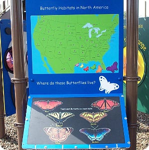 touch sensor butterfly exhibit