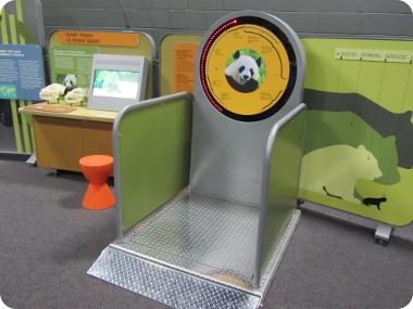 exhibit weigh scale, compare weight to a panda